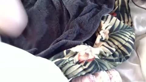 Snapshot of crucifux69 chatting on 01.30.25 Crucifux online show from 01.30.25