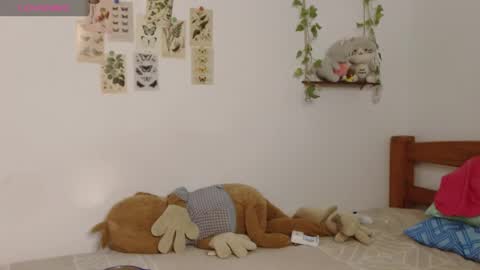 Cuddly online show from 06.01.26