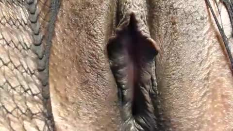 Snapshot of cuitbea chatting on 02.16.26 Nambuusi Irene online show from 02.16.26