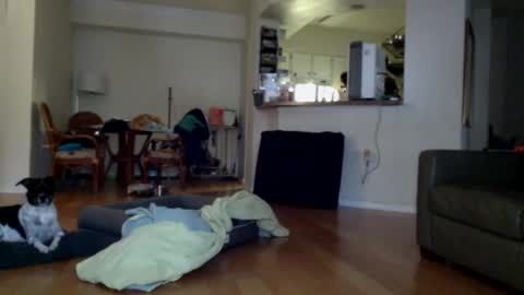 cumfiesta1 online show from 01.01.25