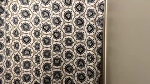 ConCon online show from 01.20.25