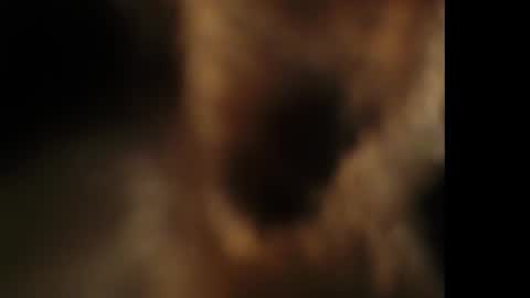 Snapshot of cumongiselle chatting on 10.25.25 Giselle online show from 10.25.25