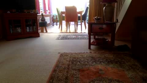 cumonherguys online show from 06.29.26