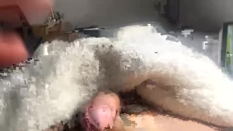 Snapshot of cumonmyf33t chatting on 02.22.25 cumonmyf33t online show from 02.22.25