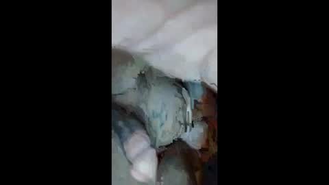 Aprilia online show from 09.23.25