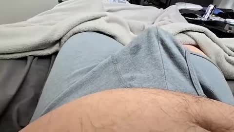 cumvet online show from 12.08.24