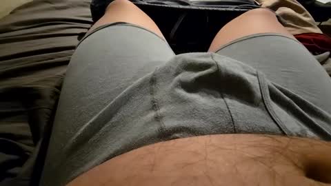 cumvet online show from 09.30.25