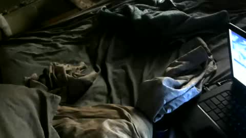 cumwith_me80 online show from 05.08.26