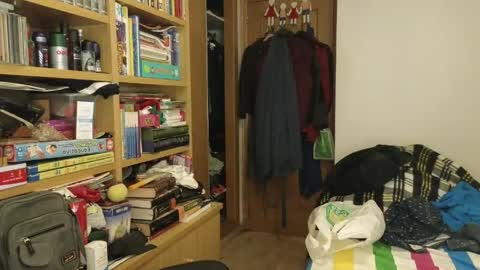 curiosillo1983 online show from 04.19.26