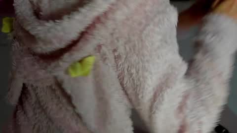 Snapshot of curlyanto chatting on 11.12.25 Antonia online show from 11.12.25