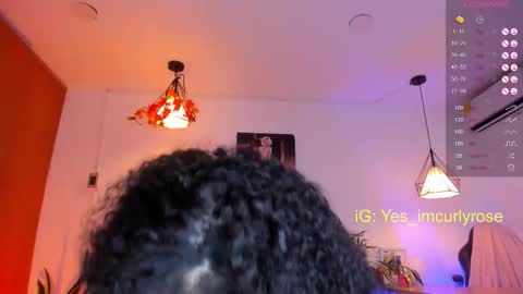 Rose online show from 11.12.25