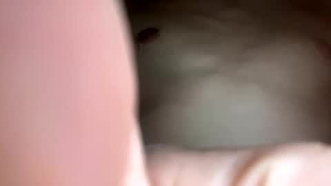 Snapshot of curvy24777 chatting on 02.23.25 curvy24777 online show from 02.23.25