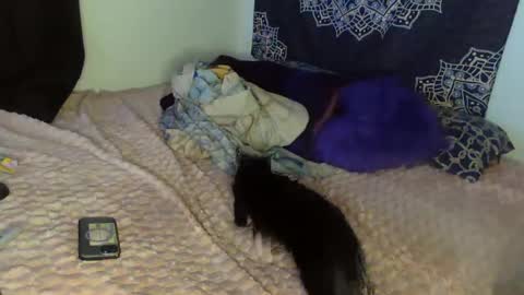 Cline  online show from 02.08.25