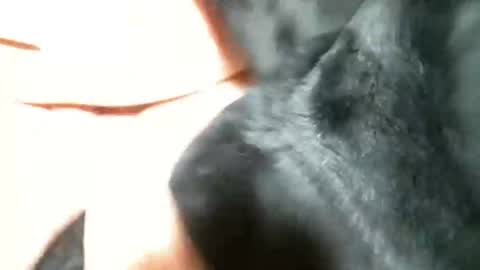 Snapshot of cutandwaxed2 chatting on 03.05.25 BI SMOOTH MATURE SUB online show from 03.05.25