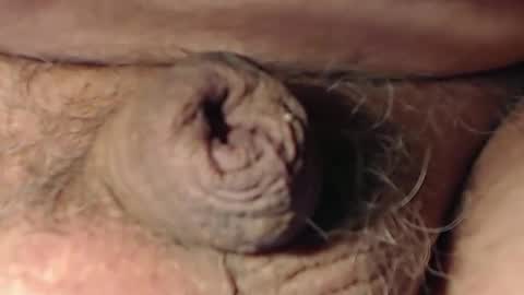 Snapshot of cute_stud1010 chatting on 02.22.26 cute_stud1010 online show from 02.22.26