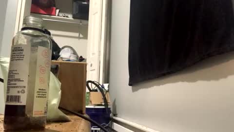 Snapshot of cutealisandra chatting on 02.03.26 cutealisandra online show from 02.03.26