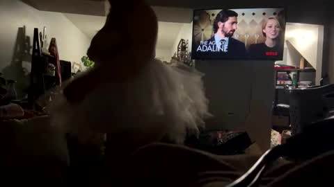 cutebananas online show from 04.17.26