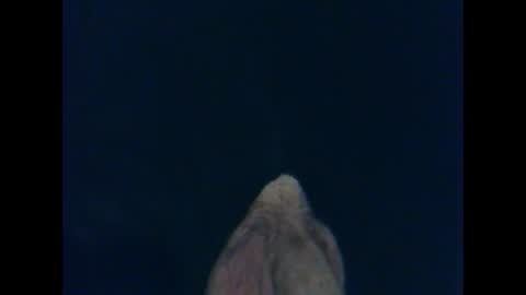 CutieBoy online show from 10.26.25