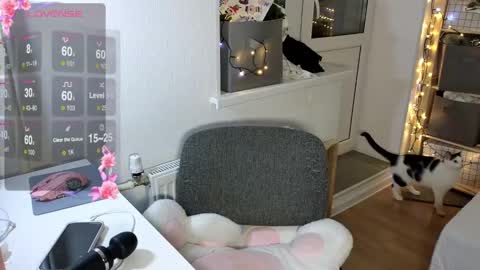 Alice  online show from 12.05.24