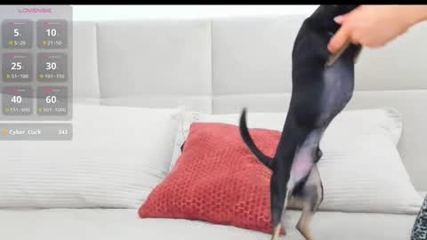 Eva online show from 04.18.26