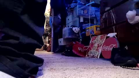 dabangaz4life online show from 12.04.24