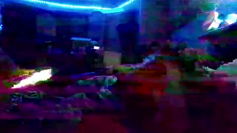 dabangaz4life online show from 12.07.24