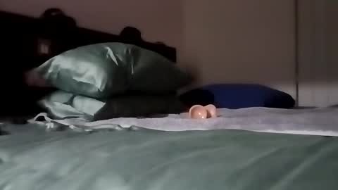 Kasey Xdresser online show from 02.06.26