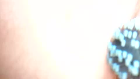 daddydigbick87 online show from 10.29.25