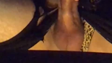 daddypervbuttprincess online show from 09.13.25