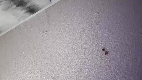 PapiGuerodaddysgirl online show from 04.04.26