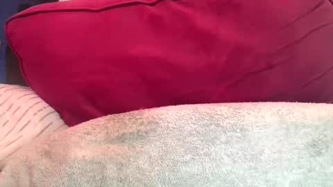 daddyy008 online show from 09.10.25