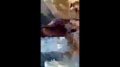 dadsfreedickrides online show from 06.04.26