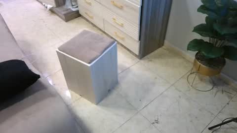 Deffa online show from 02.23.25