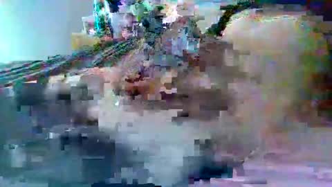 dafo1980 online show from 02.22.26