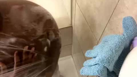 dafoxxx876 online show from 11.24.25