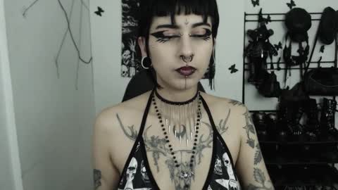 dakota online show from 11.12.25