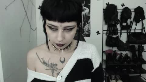 Snapshot of dakota_krall_ chatting on 12.20.25 dakota online show from 12.20.25