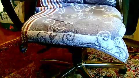 Snapshot of dammerl6 chatting on 01.23.25 Dammerl online show from 01.23.25