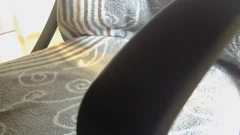 Snapshot of dammerl6 chatting on 01.28.25 Dammerl online show from 01.28.25