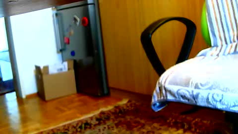 Snapshot of dammerl6 chatting on 02.03.25 Dammerl online show from 02.03.25