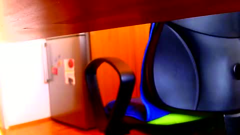 Snapshot of dammerl6 chatting on 03.07.25 Dammerl online show from 03.07.25