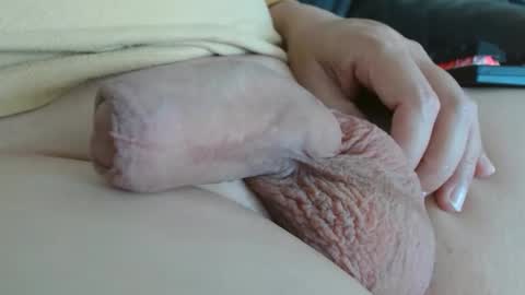 Damocles online show from 10.22.25