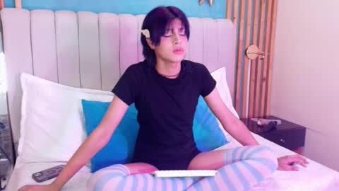 D A N online show from 02.11.26