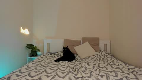 Snapshot of danabananaa chatting on 12.01.25 Dana online show from 12.01.25