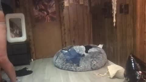 Snapshot of danamaris666 chatting on 09.25.25 DanaMaris666 online show from 09.25.25