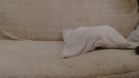 Snapshot of danaperfect chatting on 01.27.25 Daniella online show from 01.27.25