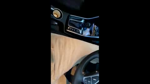 danbubs online show from 12.16.24