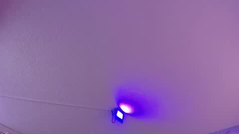 Snapshot of danee_19 chatting on 03.11.25 Daniela online show from 03.11.25