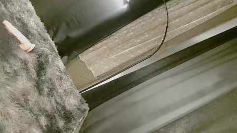 Snapshot of dangerouscock69_nica chatting on 09.10.25 Nica online show from 09.10.25