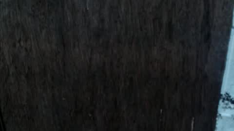 Snapshot of dangerouscock69_nica chatting on 10.02.25 Nica online show from 10.02.25